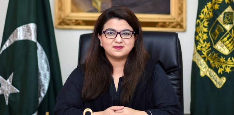 انٹرنیٹ کیوں سست ہے؟ وزیر آئی ٹی نے وجہ بتا دی