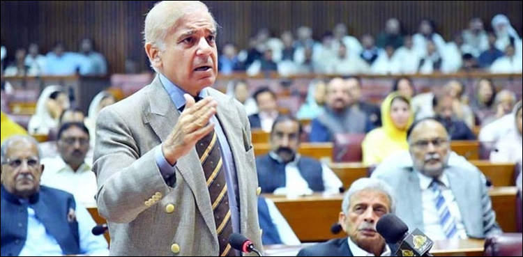 شہباز شریف حکومت مشکل میں پڑ گئی، سیاسی بحران پیدا ہونے کا خطرہ بڑھ گیا