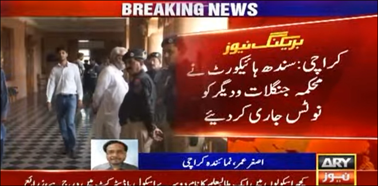 سندھ میں 24 ہزار ایکڑ جنگلات کی زمین پر با اثر شخصیات کے قبضے کا انکشاف