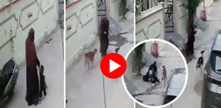 ماں اور معصوم بچے پر آوارہ کتوں کا حملہ، دلخراش ویڈیو