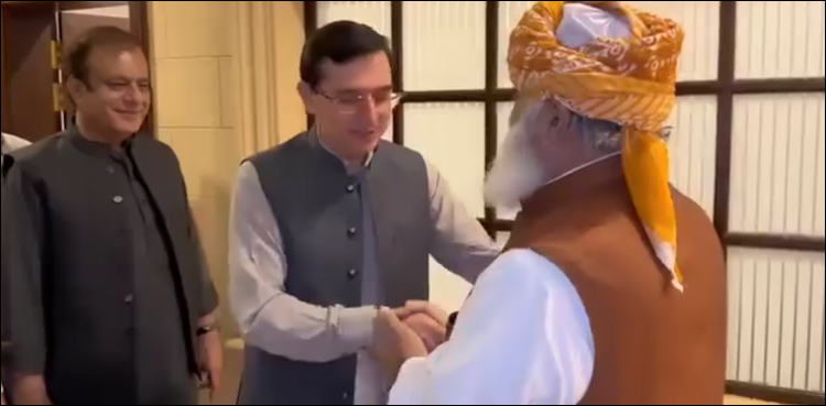 سیاسی اتار چڑھاؤ میں مولانا سب کی ضرورت، پی ٹی آئی وفد کو دو بار گھر کا چکر لگانا پڑ گیا (ویڈیو)