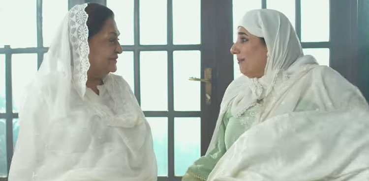 بے بی باجی کی بہوئیں