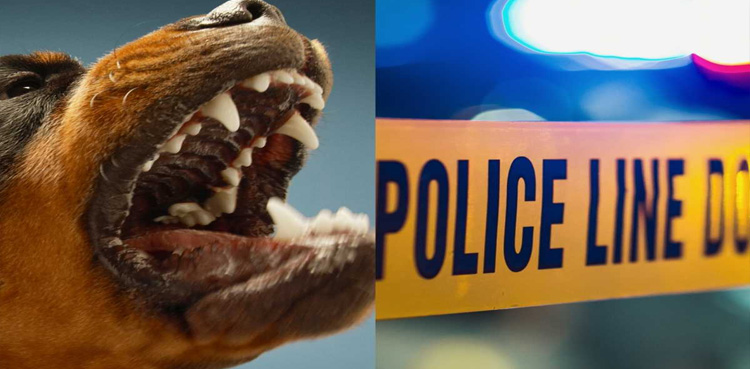 کتے نے9 سالہ بچی کو بھنبھوڑ کر مار ڈالا، مالکن پر قتل کا الزام ثابت