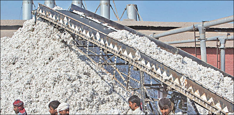 ملک میں آدھی سے زیادہ جننگ فیکٹریاں کیوں بند ہو گئیں؟
