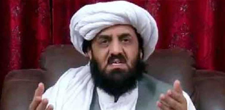 علی امین گنڈا پور  خود فارم 47  کی پیداوار ہے، حافظ حمد اللہ  کی کڑی تنقید