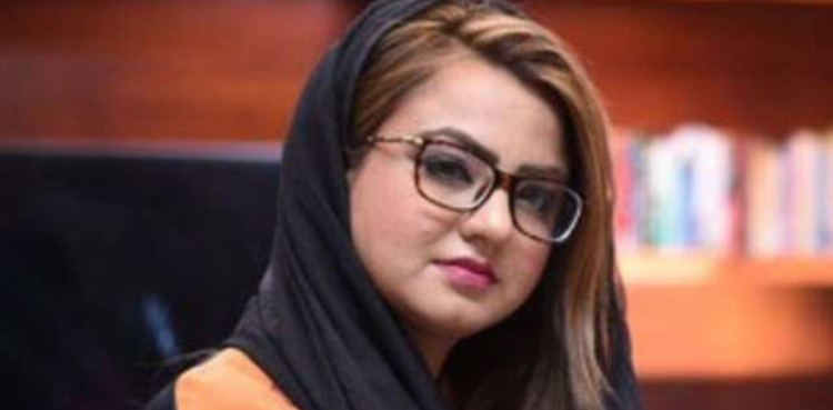 پی ٹی آئی والے ساتھ بیٹھنے کی بات صرف پارلیمنٹ کی حد تک کرتے ہیں: مائزہ حمید