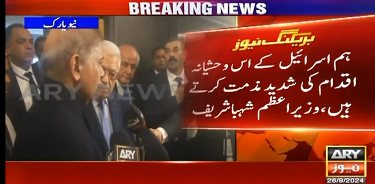 اسرائیل کے وحشیانہ اقدام کی شدید مذمت کرتے ہیں، شہباز شریف