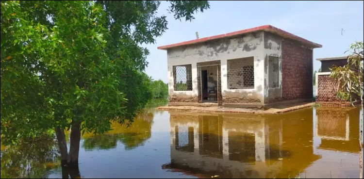 یونیسف سندھ میں موسمیاتی تبدیلی کے اثرات برداشت کرنے والے اسکول تعمیر کرنے کے لیے متحرک