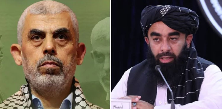 یحییٰ سنوار کی شہادت  پرافغان طالبان کا رد عمل