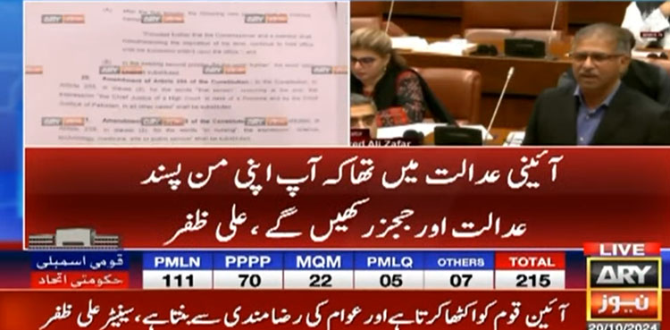 آئینی عدالت کو نیا نام آئینی بینچ دیدیا گیا ہے، علی ظفر