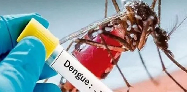ڈینگی ٹیسٹ کی فیس فکس کرنے کا فیصلہ
