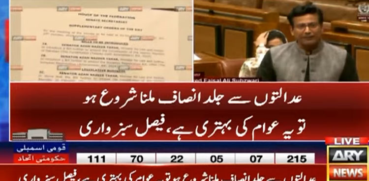 بلدیاتی حکومتوں کو فعال کرنا ہوگا یا پھر نئے صوبے بنانا ہونگے، فیصل سبزواری