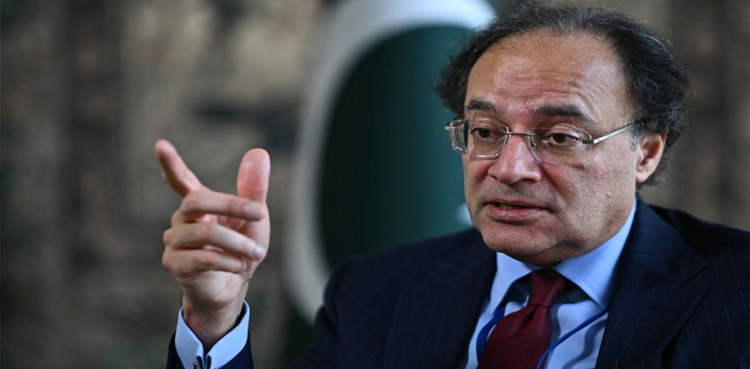 زرعی شعبے پر ٹیکس کب سے لگے گا؟ وزیرخزانہ نے بتا دیا