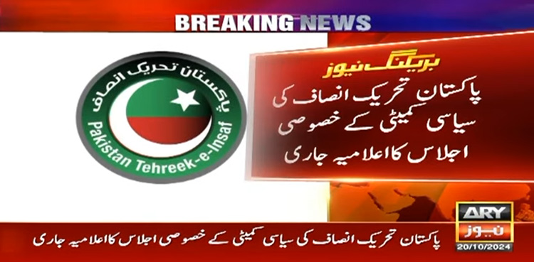 آئینی ترمیم : پاکستان تحریک انصاف نے اپنے لائحہ عمل کا اعلان کردیا