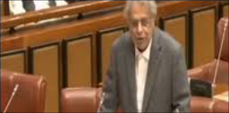 آئینی ترامیم کے لیے ووٹ دینے والے سینیٹر قاسم رونجھو نے استعفیٰ دے دیا