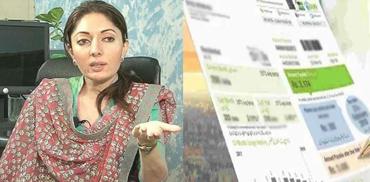 میرے لیے بھی بجلی کے بل ادا کرنا مشکل ہو گیا، شرمیلا فاروقی پھٹ پڑیں