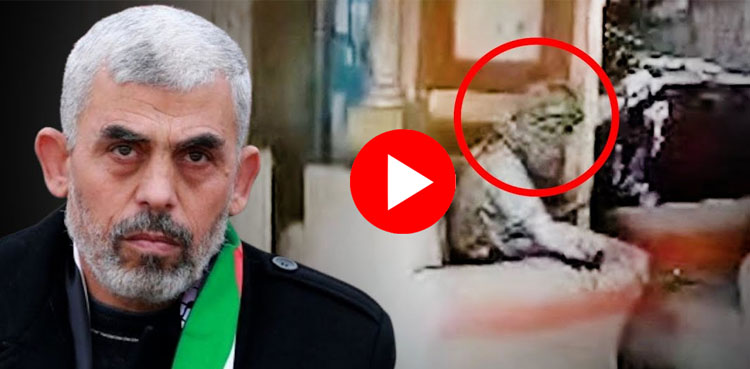 یحییٰ سنوار کی شہادت سے قبل مزاحمت، اسرائیل نے ویڈیو جاری کر دی