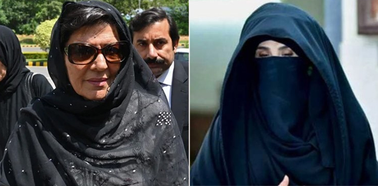 ‘بشریٰ بی بی اور علیمہ خان کو پارٹی عہدہ دینا ہے یا نہیں؟ بانی فیصلہ کریں گے’