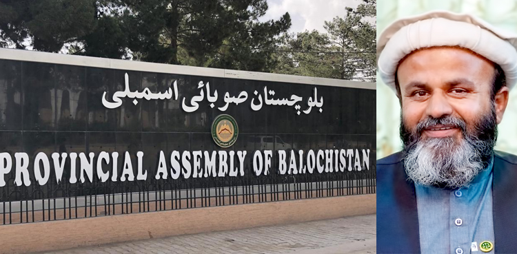 ’بلوچستان کو 24 گھنٹے بجلی دی جائے‘ ہدایت الرحمان کی قرارداد منظور