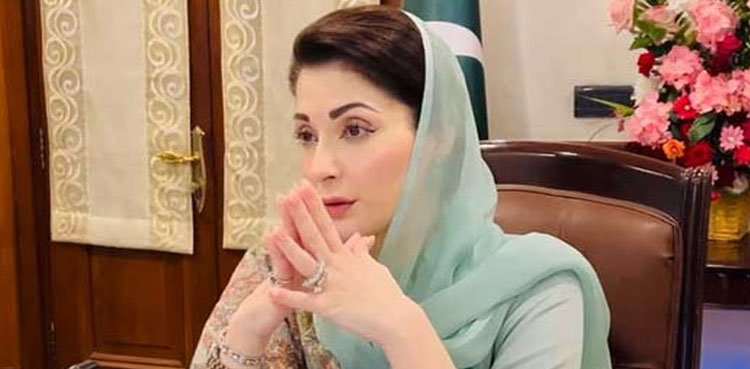 وزیر اعلیٰ پنجاب مریم نواز نے ہیلتھ سسٹم میں بنیادی اصلاحات کا جامع پلان طلب کر لیا