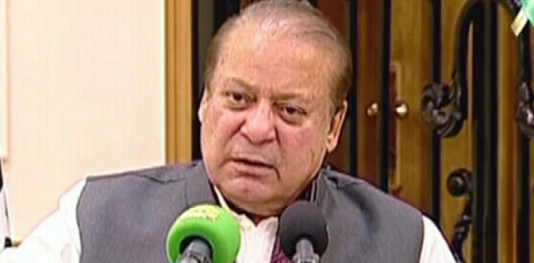 جب بھی ملک ترقی کی راہ پر گامزن ہوا اسے سیاسی بحرانوں میں دھکیلا گیا، نواز شریف