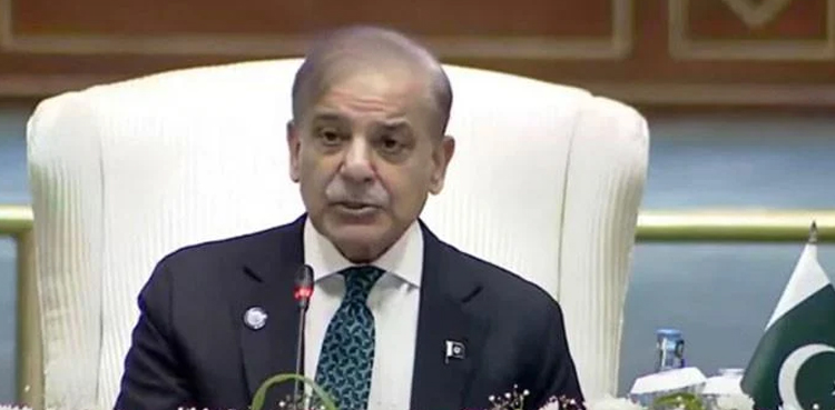 معاشی تعاون کیلئے ایس سی او ممالک کو نئی حکمتِ عملی پر غور کرنا ہوگا ، وزیراعظم