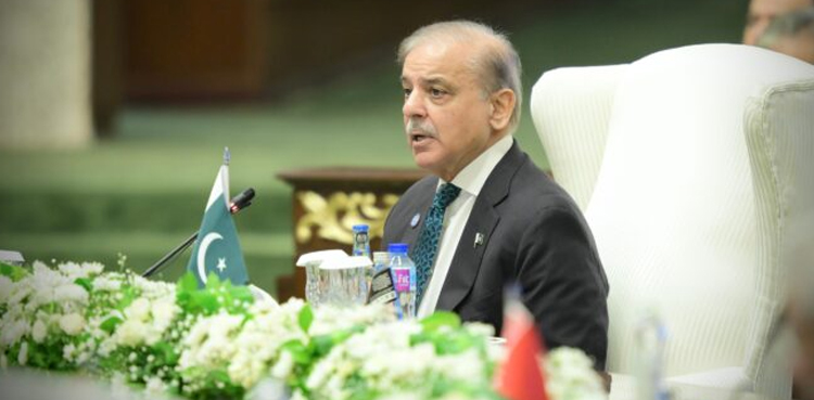 شنگھائی تعاون تنظیم کی سربراہی روس کے سپرد کردی گئی