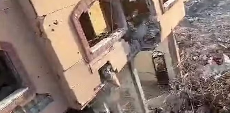 کیا یحییٰ سنوار کے ساتھ اقوام متحدہ کا کوئی اہلکار بھی ہلاک ہوا تھا؟