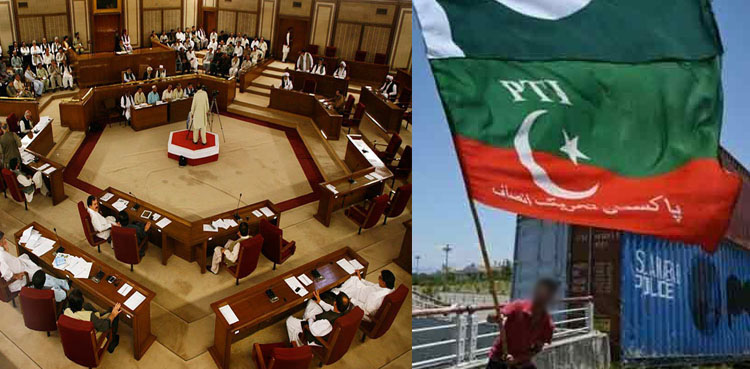 پی ٹی آئی پر پابندی لگانے کی قرارداد جمع