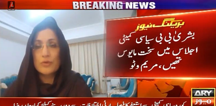 بشریٰ بی بی غصے میں نہیں وہ مایوس تھیں کوئی پلاننگ نہیں تھی، مریم ریاض وٹو