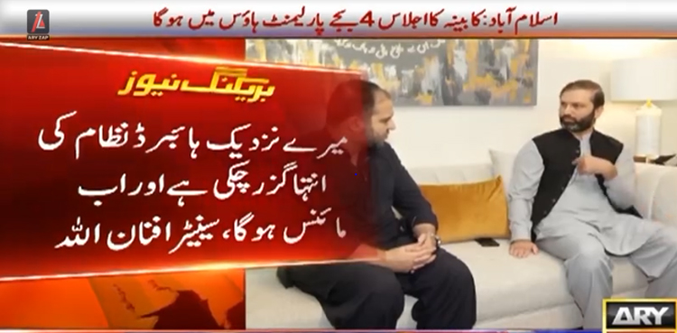 کوئی آپ کو اٹھالے یا دھمکیاں دے تو یہ برداشت کرنا پڑتا ہے، سینیٹر افنان اللہ