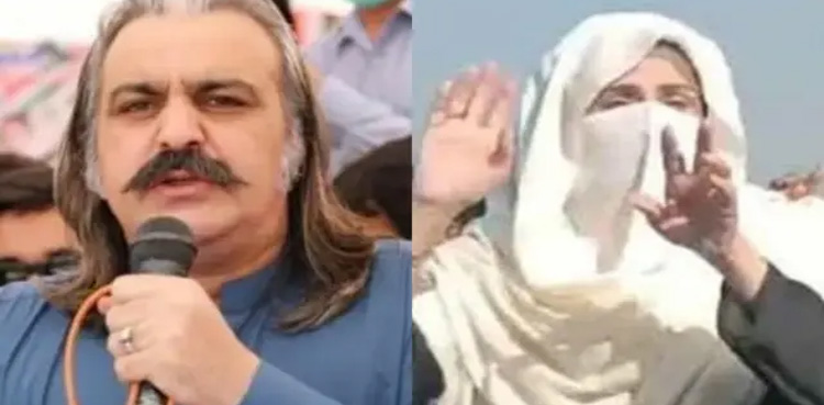 وزیر داخلہ کا بشریٰ بی بی اور علی امین گنڈا پور کی گرفتاری سے متعلق اہم بیان