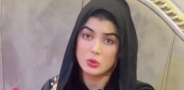 خواجہ سرا ڈولفن ایان کیس : مرکزی ملزم  کی گرفتاری کیلئے مختلف مقامات پر چھاپے