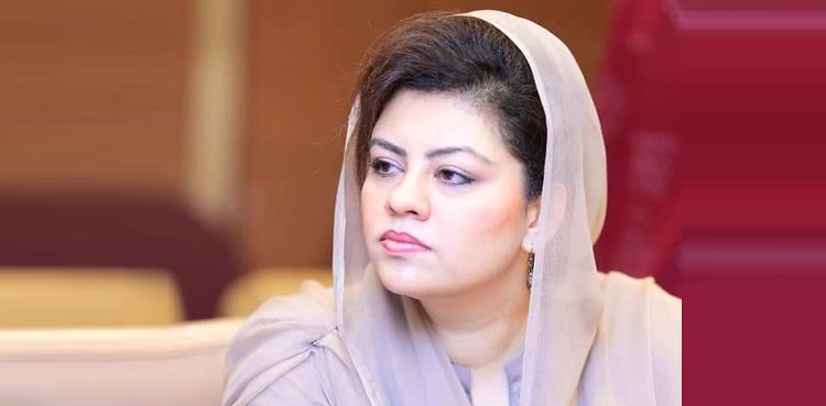 ہم کسی ڈیل کا حصہ نہیں بنیں گے نہ عوام ڈیل کرنے کو تیار ہے، کنول شوذب