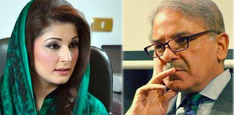 ‘چچا قومی اثاثے اونے پونے داموں بیچ رہے اور بھتیجی خرید رہی ہے’