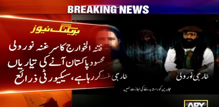 خارجی نور ولی محسود کا چھپ کر پاکستان میں داخل ہونے کا منصوبہ بے نقاب