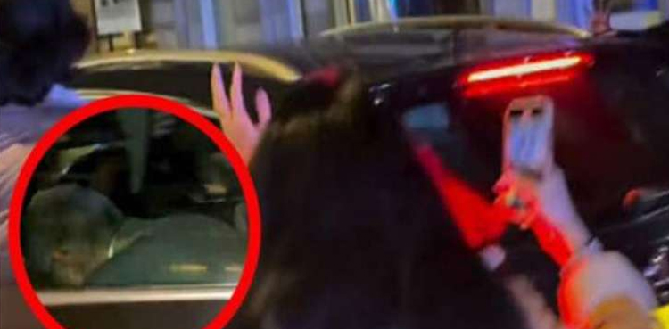 لندن میں قاضی فائز عیسیٰ کی گاڑی پر حملے کرنے والوں کے خلاف مقدمہ درج ، تحقیقات کا آغاز