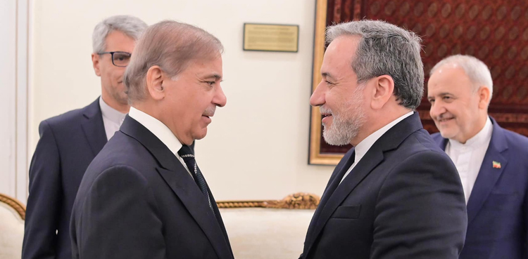 وزیر اعظم شہباز شریف کا غزہ میں فوری طور پر جنگ بندی کا مطالبہ
