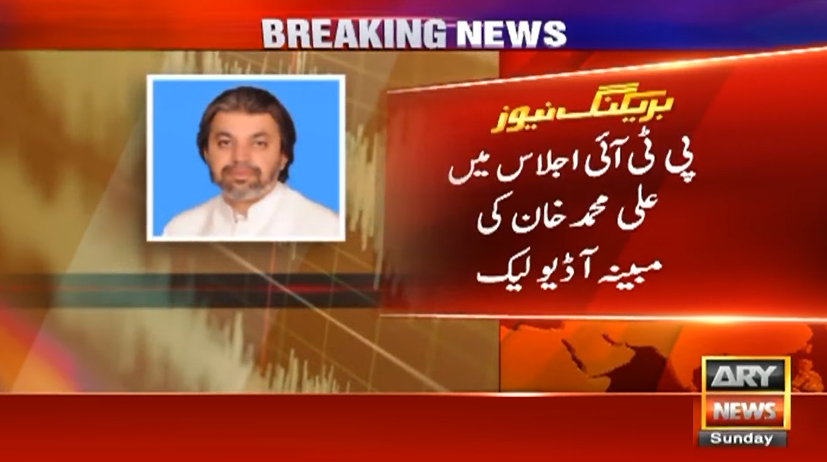 بانی پی ٹی آئی نے ڈی چوک جانے کی ہدایت کی تھی یا نہیں؟ علی محمد خان کی مبینہ آڈیو لیک