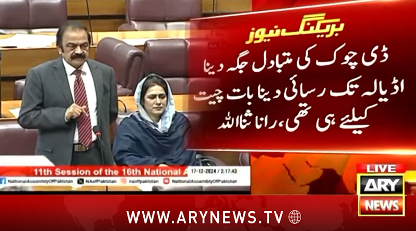 جب تک حکومت اور اپوزیشن میں ڈائیلاگ نہیں ہوگا یہ سسٹم نہیں چل سکتا، رانا ثنا اللہ
