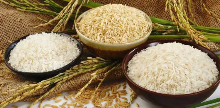 ملک میں چاول کی برآمدات میں بڑا اضافہ