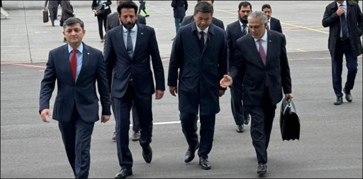 اسحاق ڈار نے 2024 میں کتنے غیر ملکی دورے کیے؟ جان کر آپ حیران رہ جائیں گے