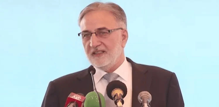 چیئرمین نیب  کا  12 لاکھ پاکستانیوں کے ملک چھوڑنے کا انکشاف