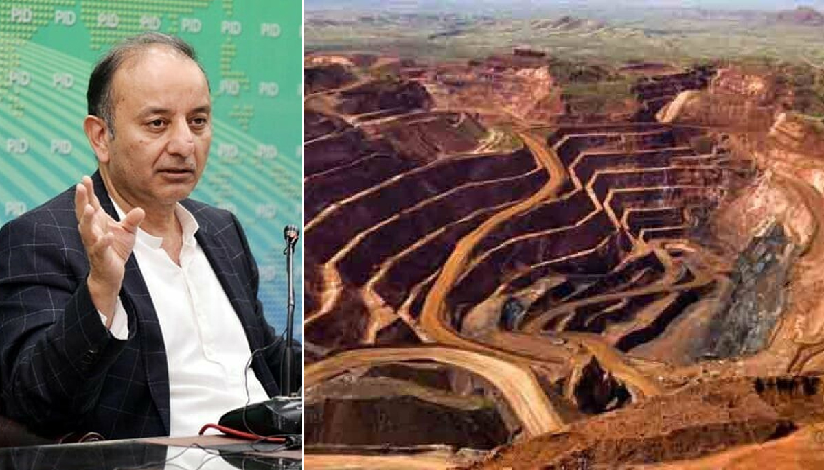 سعودی عرب کو ریکوڈک شیئرز فروخت کرنے کی خبریں مسترد، مصدق ملک