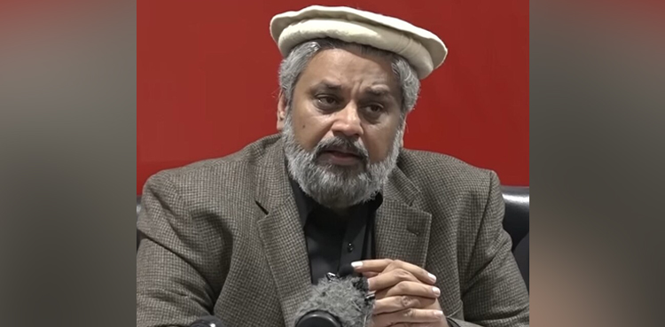 اگر حکومت جوڈیشل کمیشن بنانے پر نہ مانی تو مذاکرات کا اگلا دور نہیں ہوگا،  حامد رضا