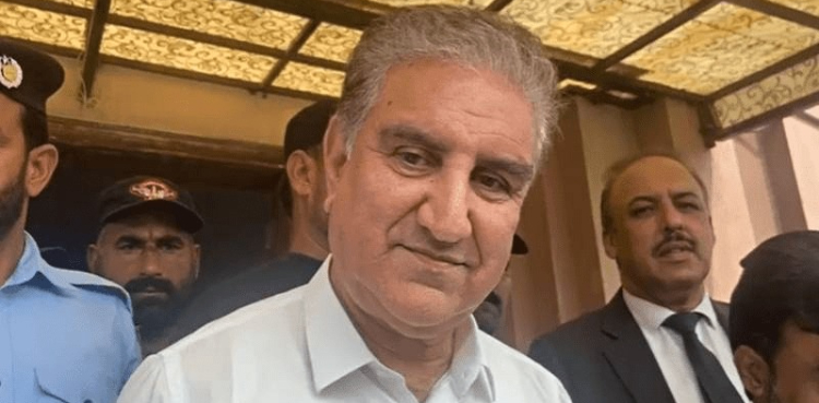 شاہ محمود