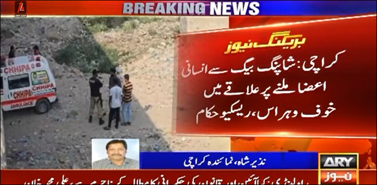 لسبیلہ پل سے نیچے پھینکے جانے والے شاپنگ بیگوں سے انسانی اعضا برآمد