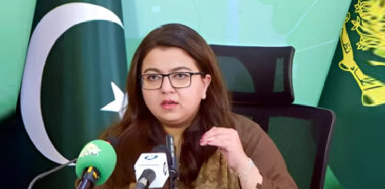 شزہ فاطمہ نے  انٹرنیٹ صارفین کو بڑی خوشخبری سنادی