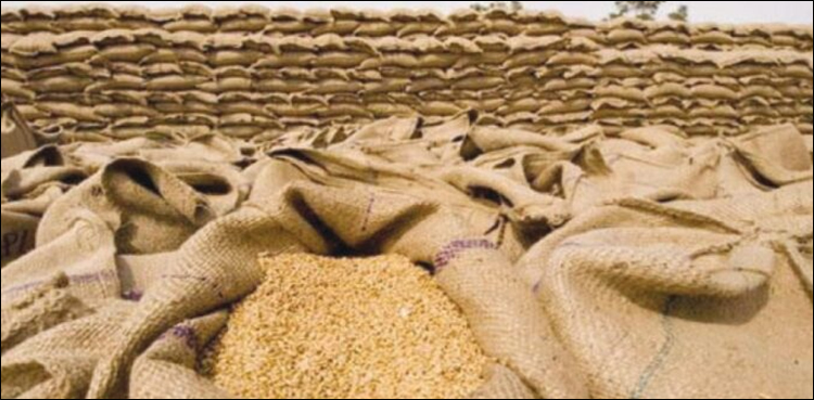کاشتکاروں کو 2 سال میں گندم میں 2200 ارب کا نقصان