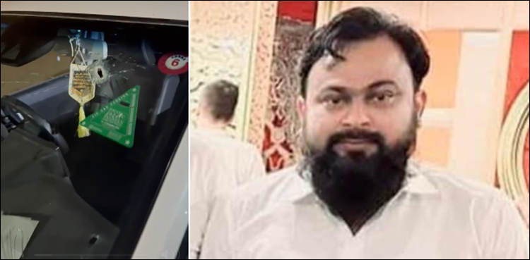 ویڈیو: سول اسپتال کے آئی ٹی انچارج تین گولیاں لگنے کے بعد قریبی عمارت تک کیسے پہنچے؟
